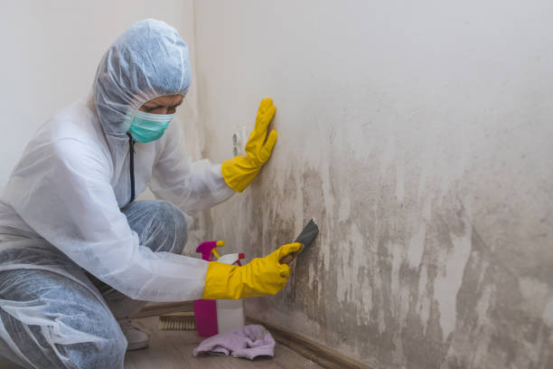 Best Mold Prevention Services  in Crystal River, FL