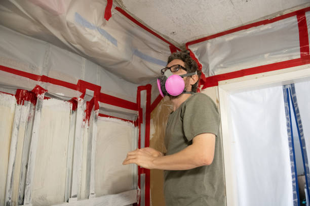 Best Attic Mold Removal  in Crystal River, FL