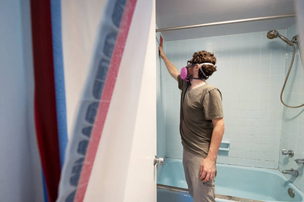Best Mold Odor Removal Services  in Crystal River, FL