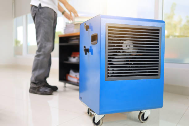 Best Industrial Mold Remediation  in Crystal River, FL