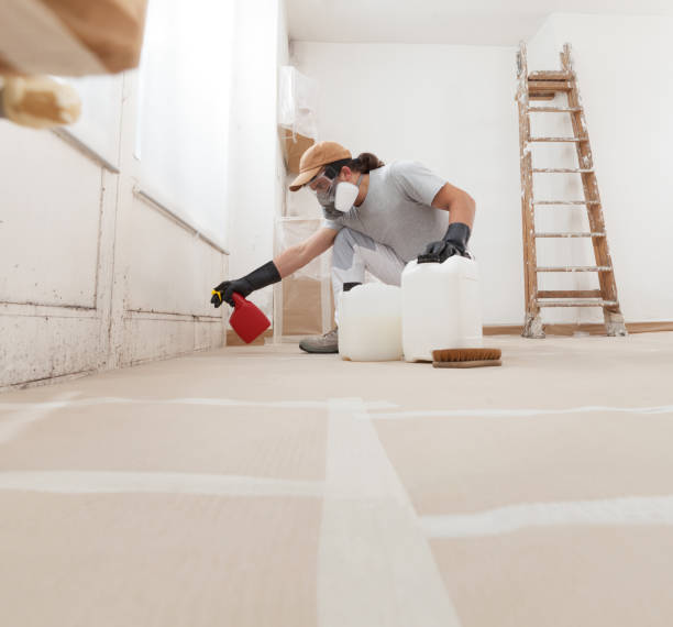 Best Indoor Air Quality Assessment  in Crystal River, FL